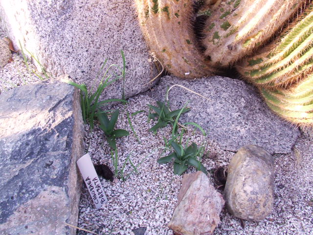 DSCF8622.JPG