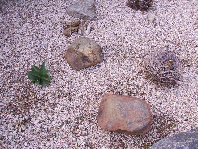 DSCF8623.JPG