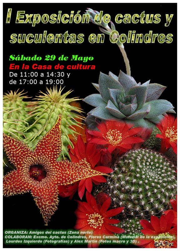 Cartel exposición 2reducida.jpg