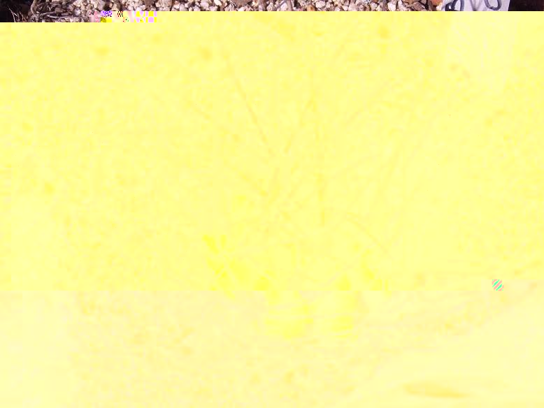 DSCF9034 a.jpg