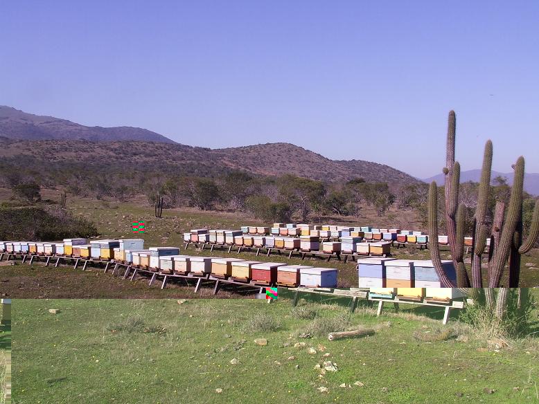 Las colmenas, responsables de estos paseos y punto de inicio del viaje