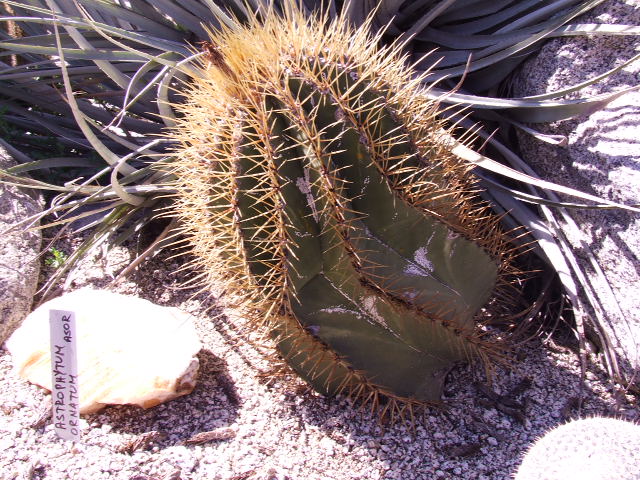 DSCF9188.JPG