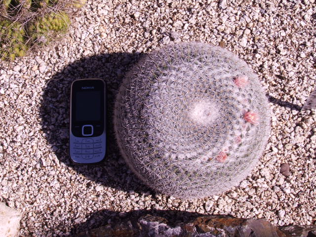 DSCF9207.JPG