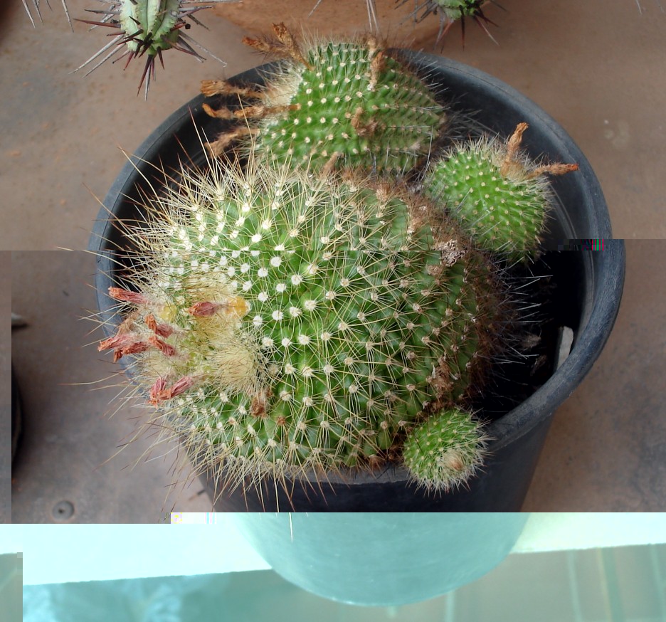 300810 005 [50%].jpg