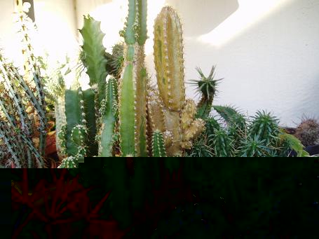 Imagen 004.jpg