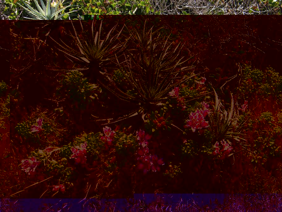 DSCF5002 a.jpg