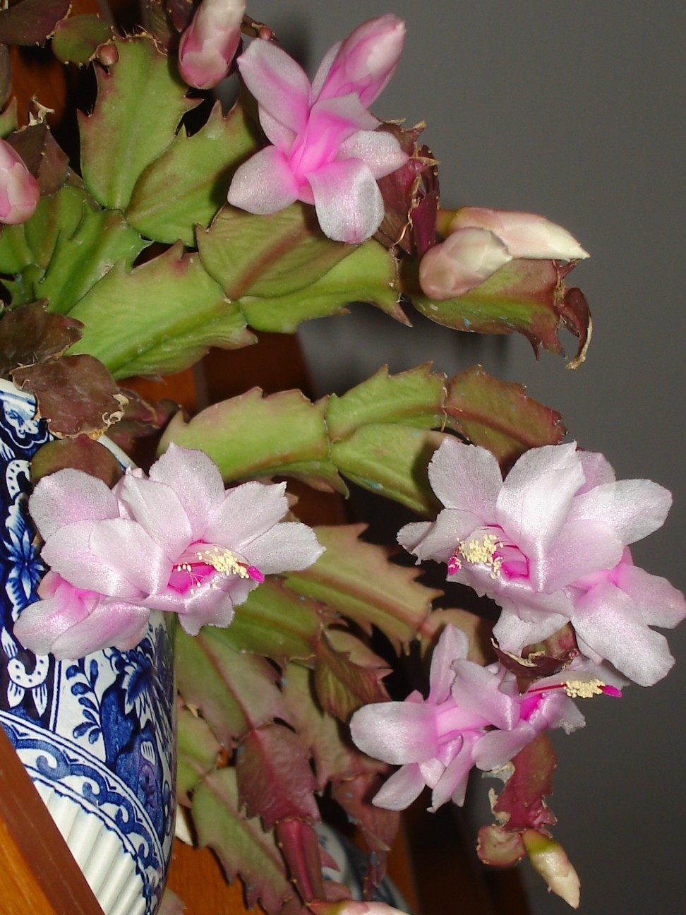 221110 010 [50%].jpg