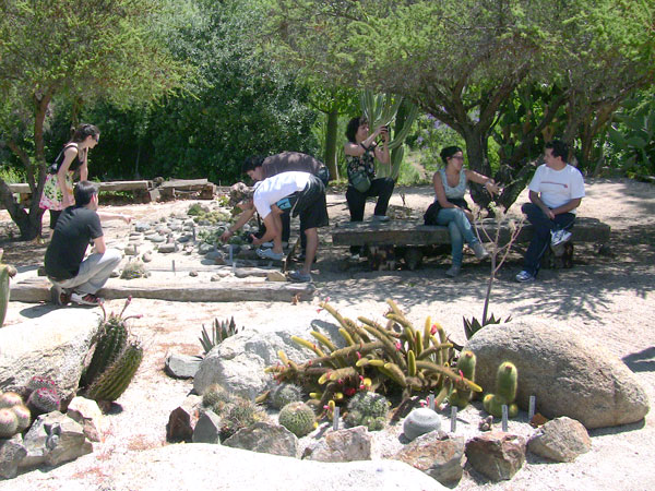 todos conversando y disfrutando de flores y plantas