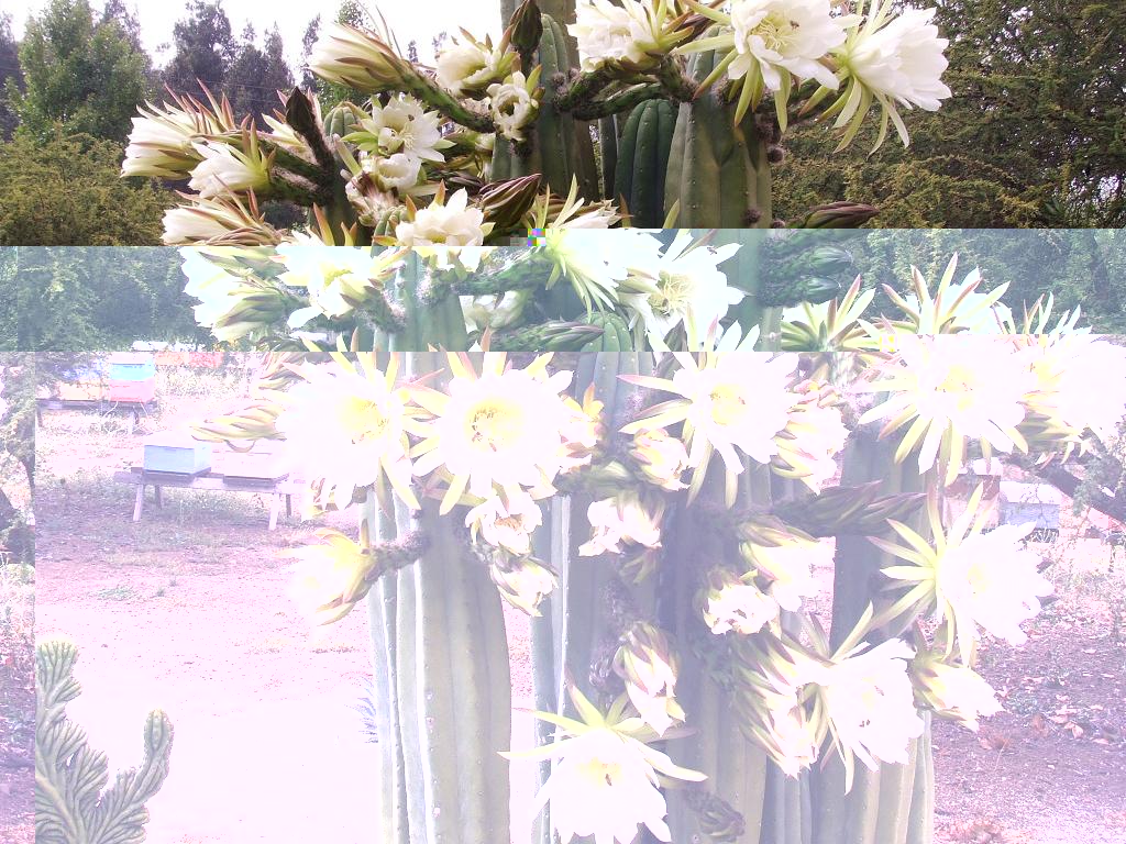 DSCF9704 a.jpg