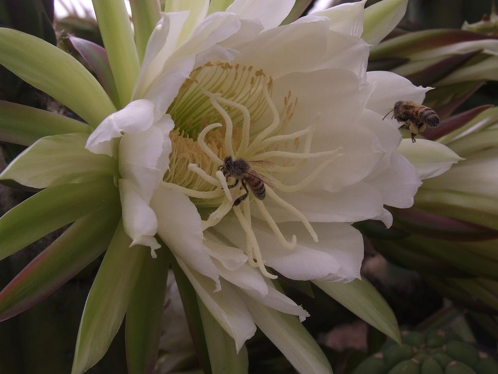 DSCF9707 a.jpg