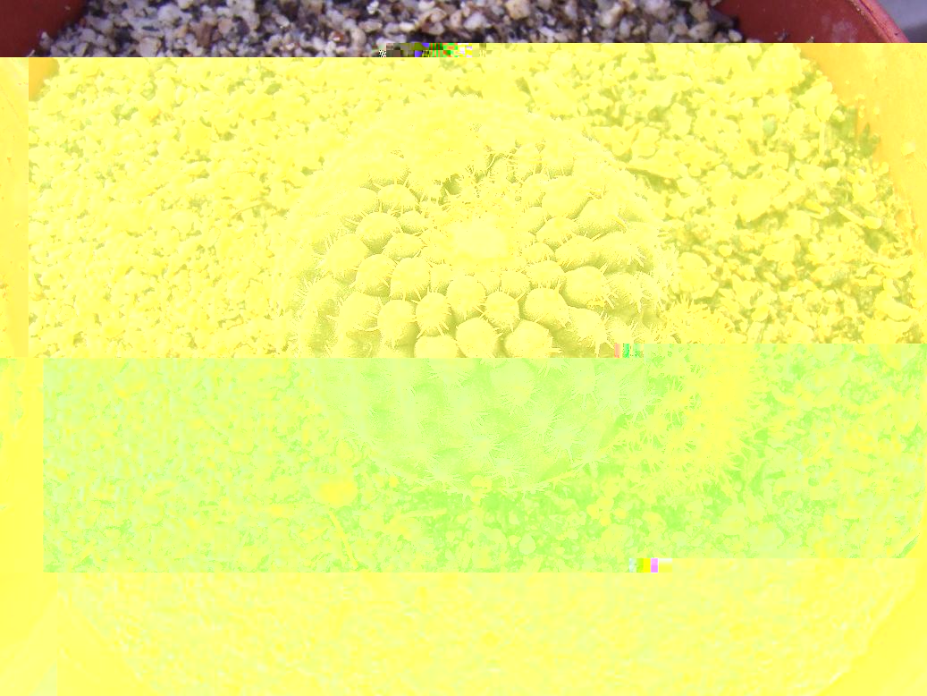 DSCF9860 b.jpg
