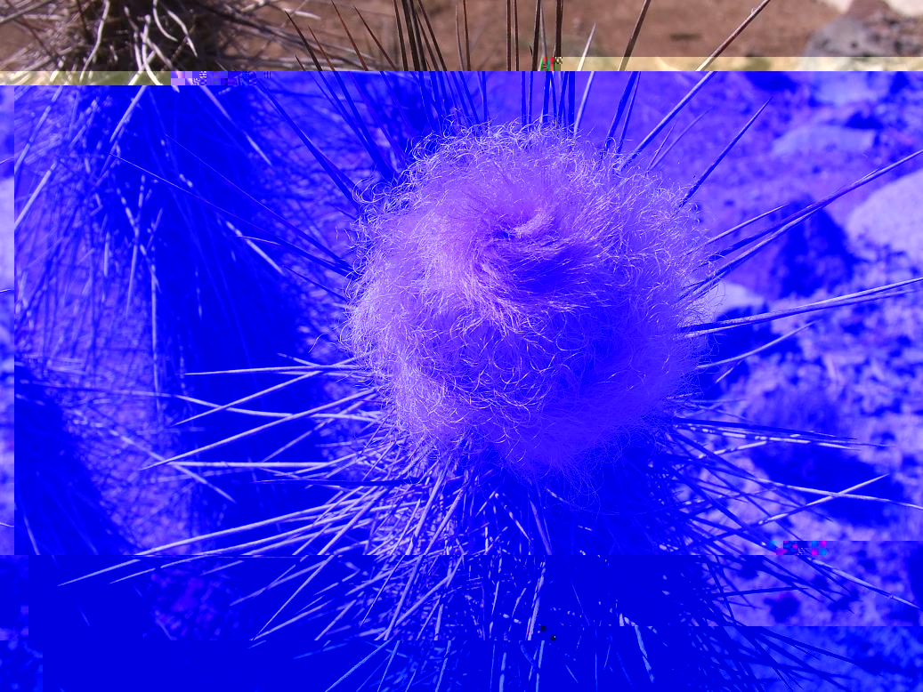 DSCF9935 a.jpg