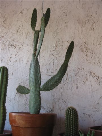 1.