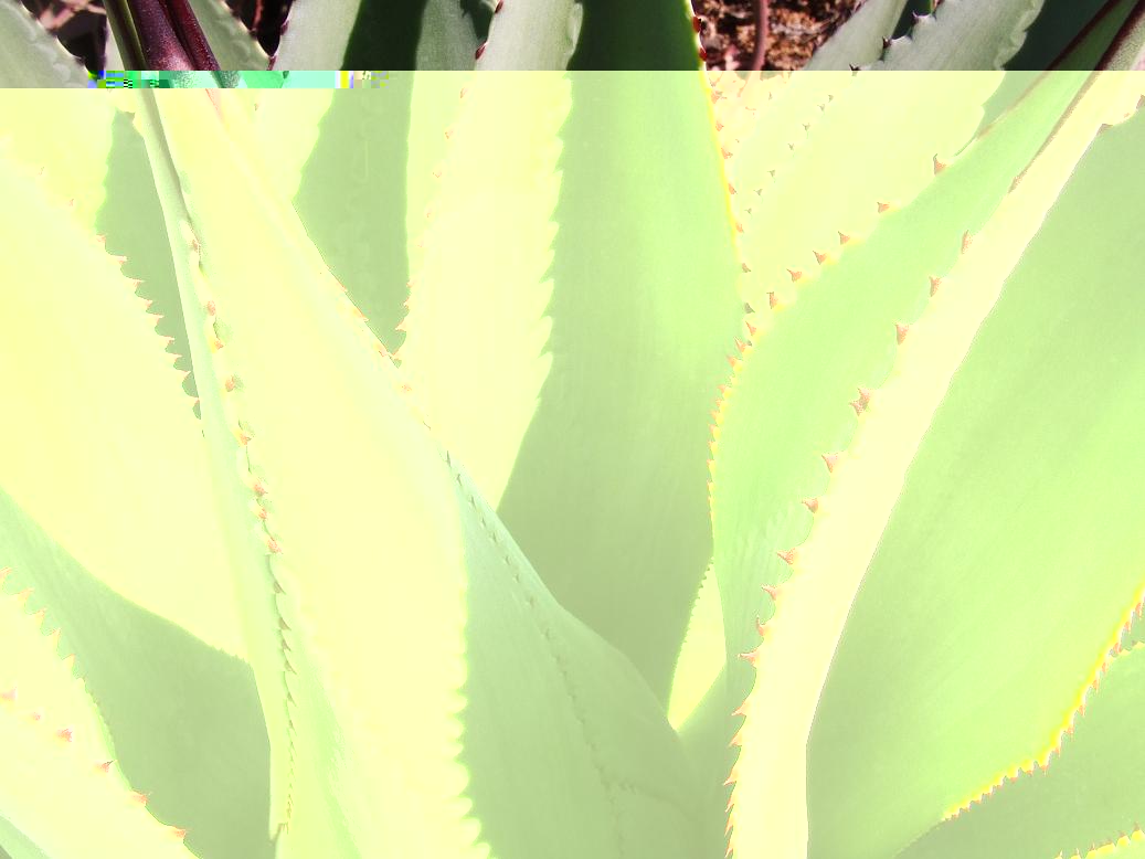 detalle planta 2