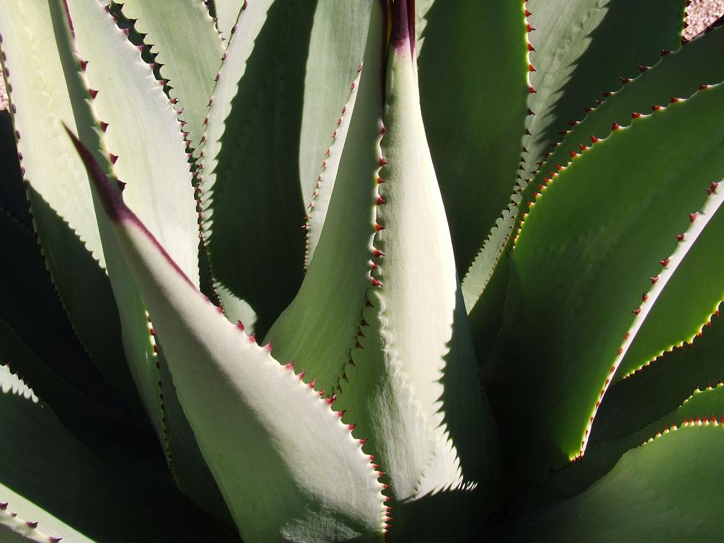 detalle planta 2
