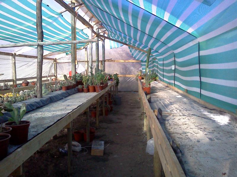 muho invernadero ..pocas plantas aun....