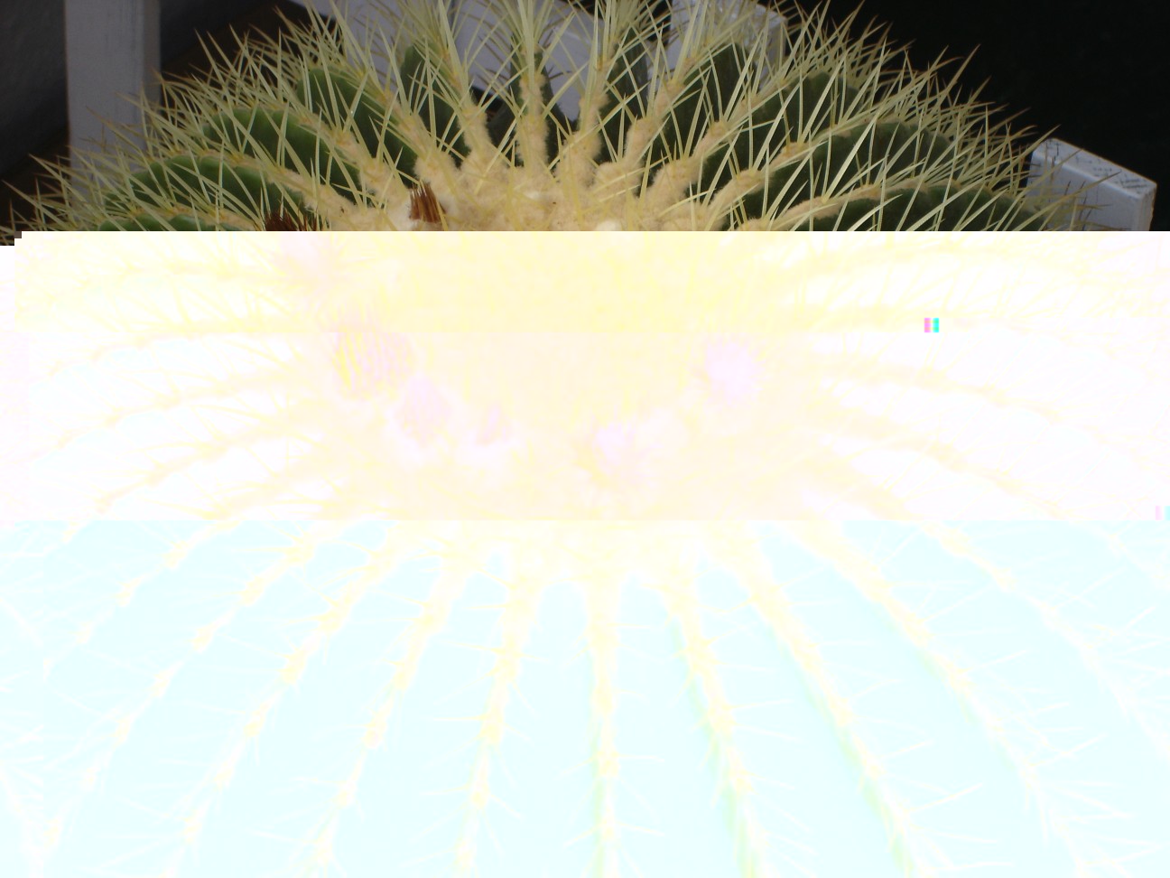 120511 005 [50%].jpg
