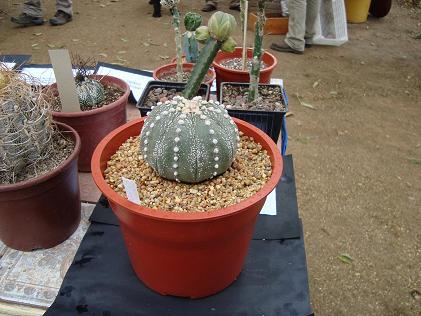 DSC02472.JPG
