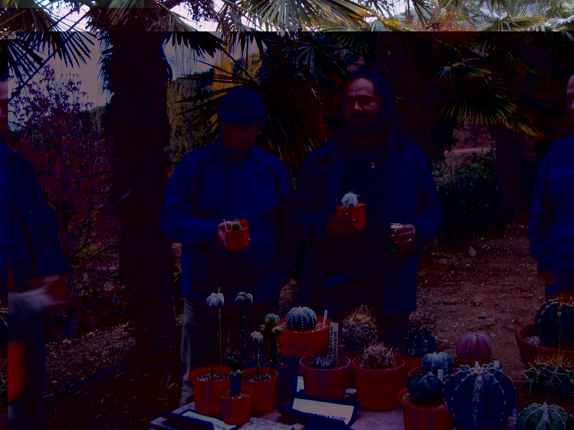 Carlos en dos categorias y Marcelo