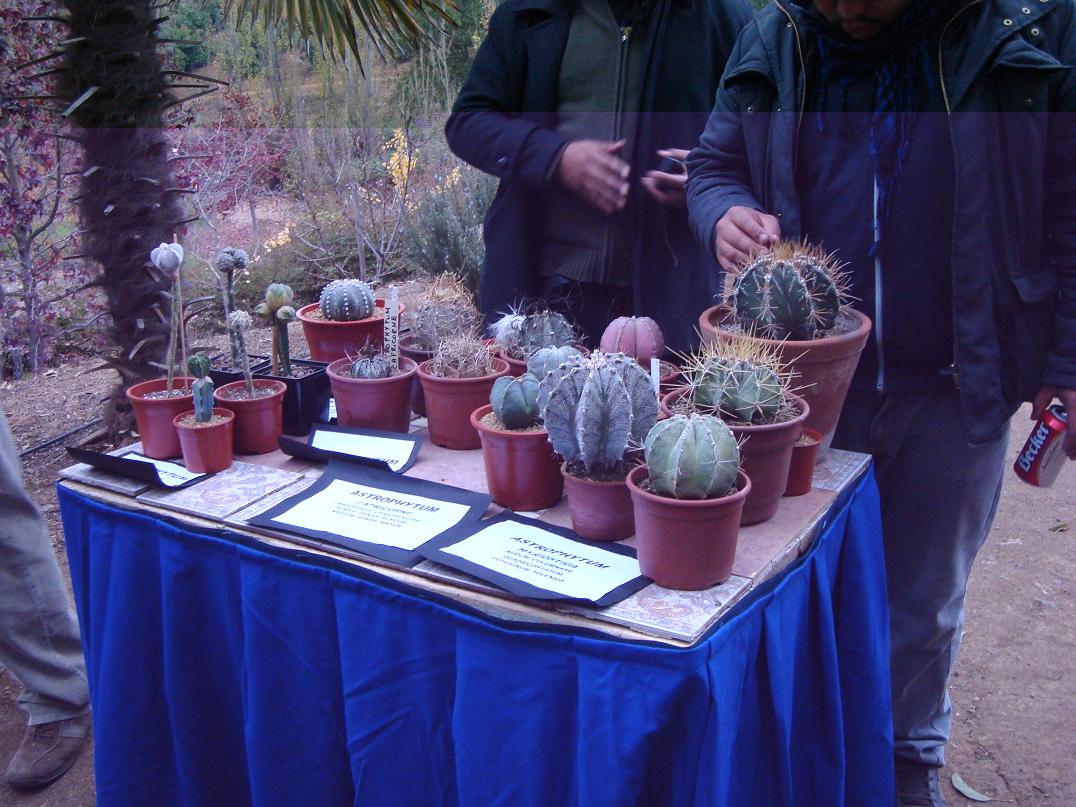 La Expo