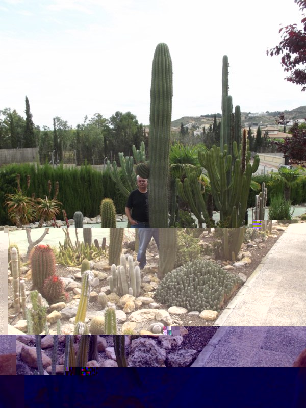 Cheste y jardín 208 [800x600].jpg