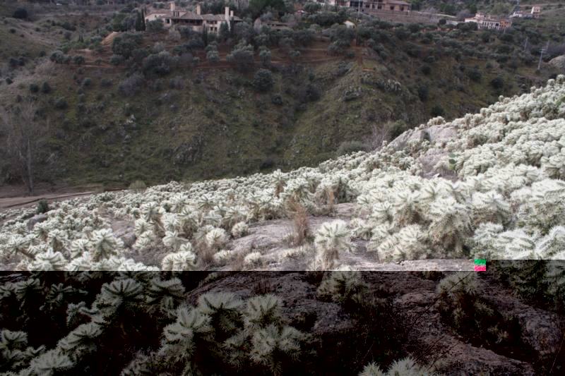 VARIAS 1073_800x533.jpg