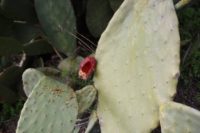 VARIAS 1080_800x533.jpg