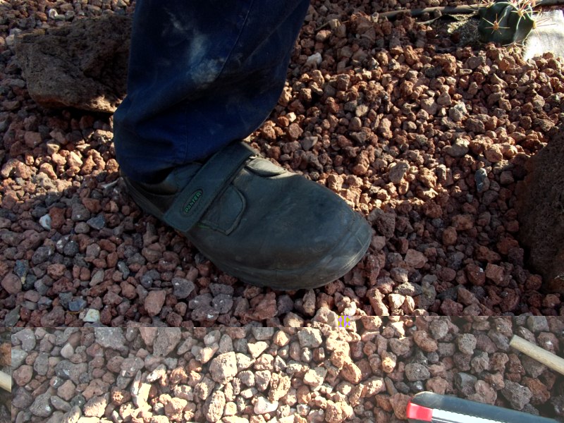 Estas botas son las adecuadas para trabajar entre cactus