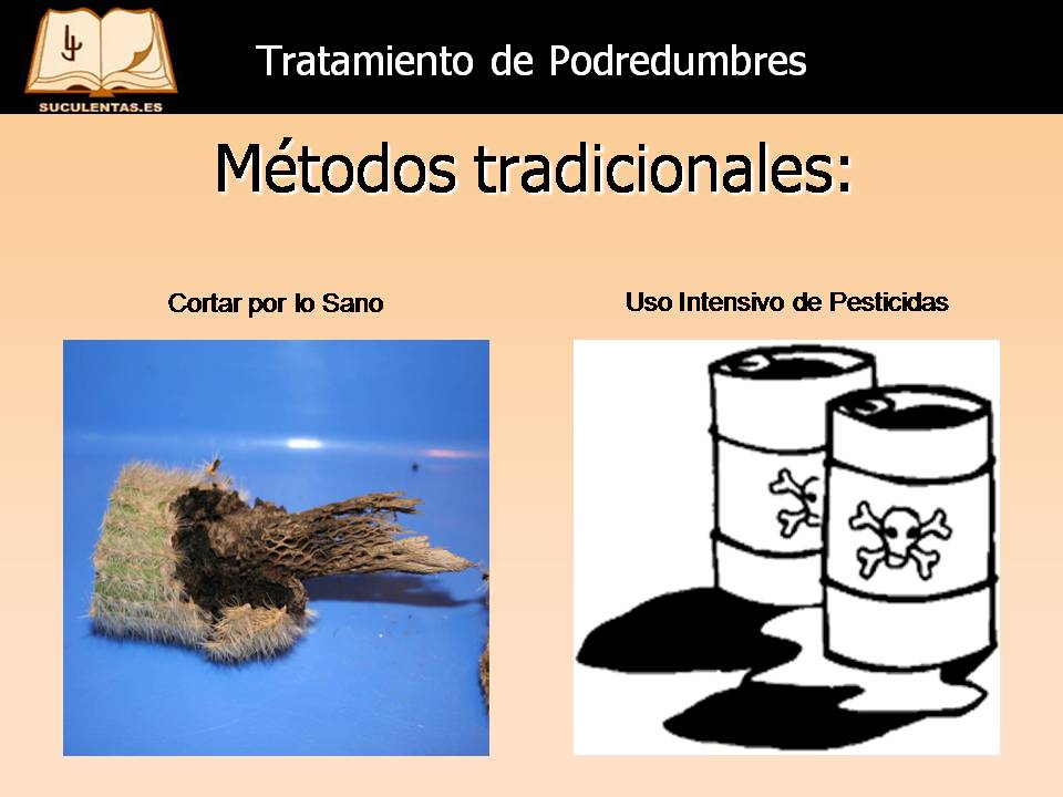 Diapositiva7.JPG
