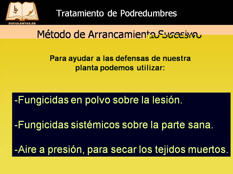 Diapositiva19.JPG