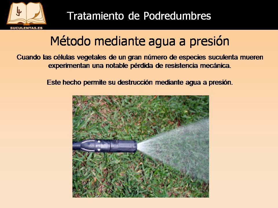 Diapositiva20.JPG