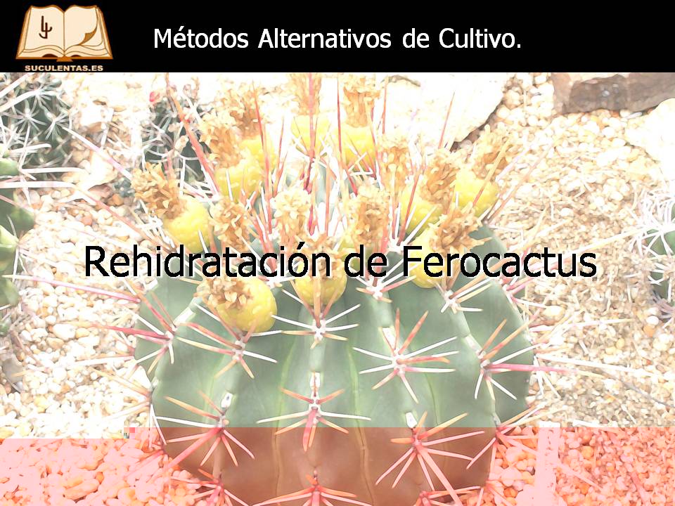 Diapositiva35.JPG