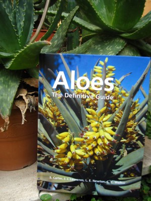 aloe.jpg