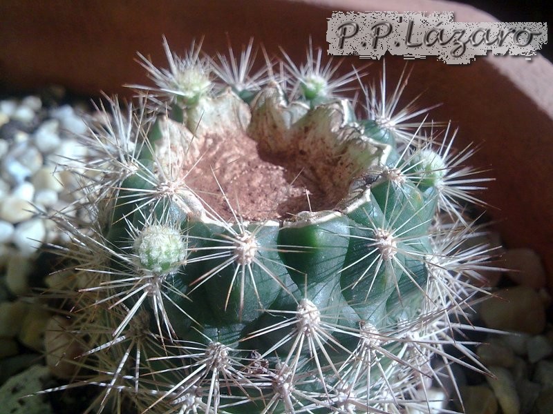 Imagen0241.jpg