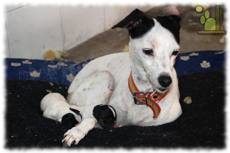 2011 09 07 camada 01.jpg