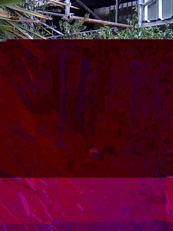 Imagen002.jpg