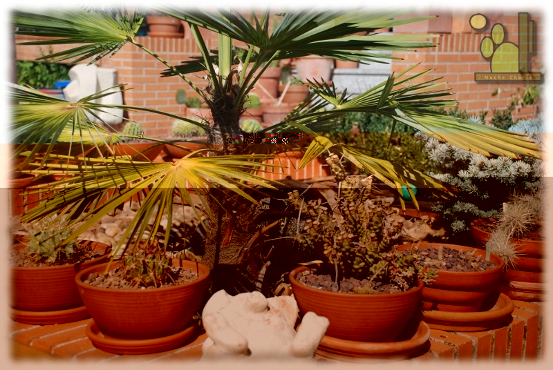 2011 09 24.jpg