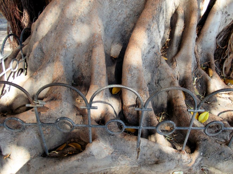 DSCF2536 [800x600].jpg