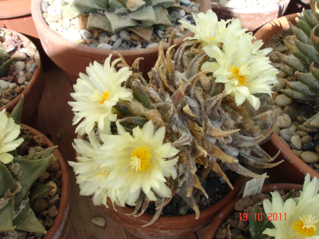 A 022.jpg