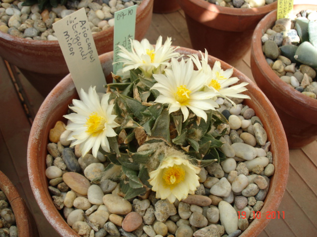 A 024.jpg