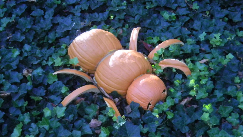 DSCN0763.JPG