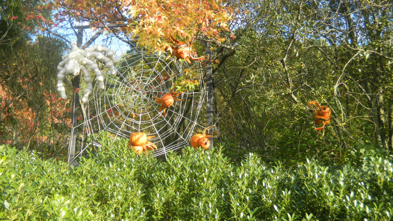 DSCN0767.JPG