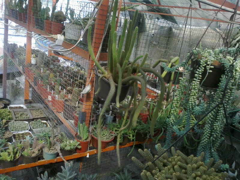 no quedo la foto como queria pero aqui esta jeje