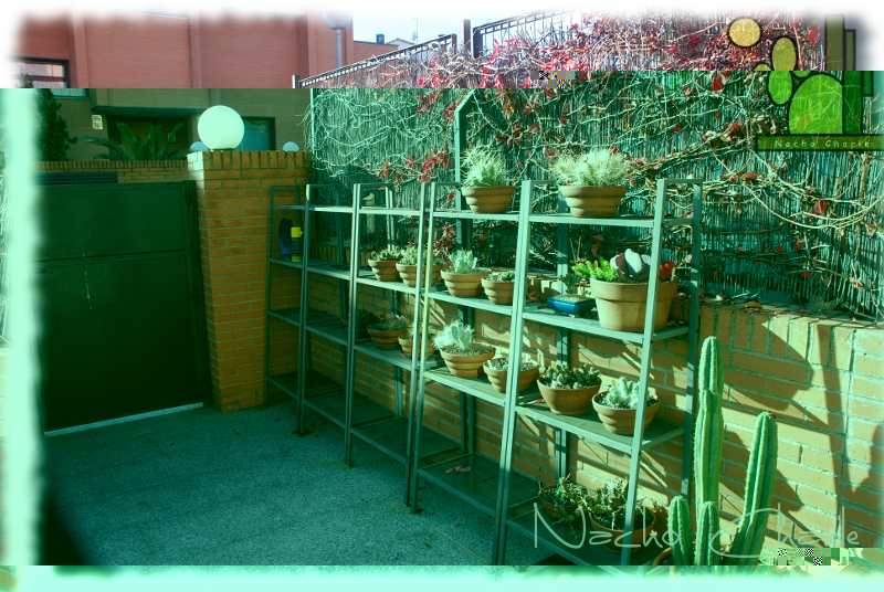 rincón 2011 11 01.jpg