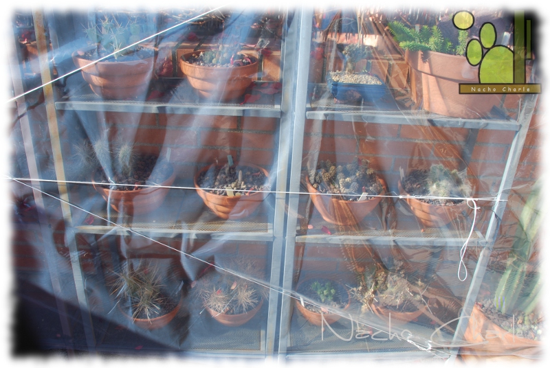 rincón 2011 11 02.jpg