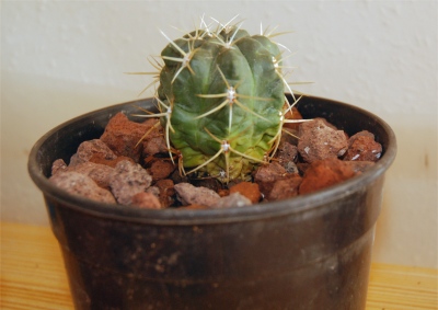 Foto 1