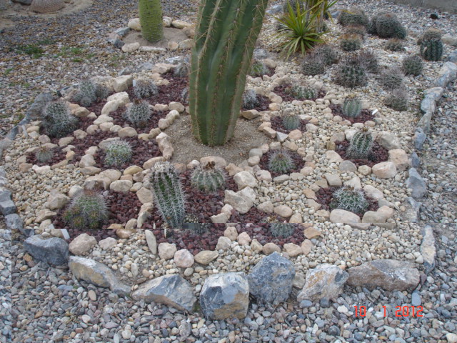 La Juaida (Copiapoas).jpg