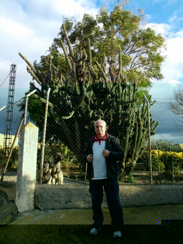 Enorme, me refiero al cactus