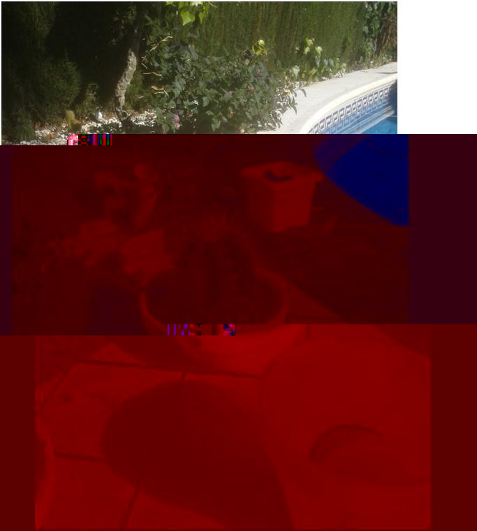 as3.jpg