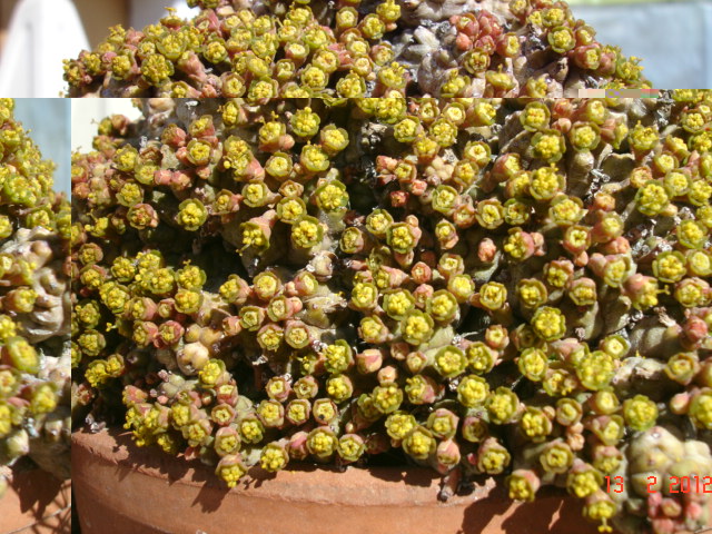 A 014.jpg